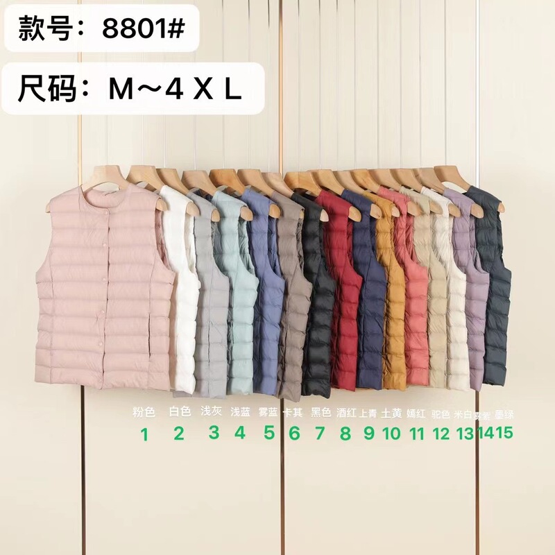90白鴨絨毛の新型ダウンベスト|undefined