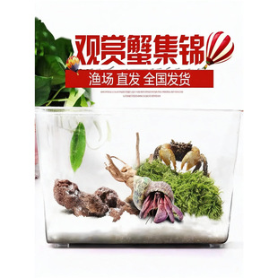 ��������з���w����΢���^��ˮ�Y���^�pз����ˮ�����坍���׻�