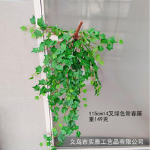 �羳��������ڒ쳣����14��G�}ֲ�������ڷ���ֲ��Gɫ�ٗl