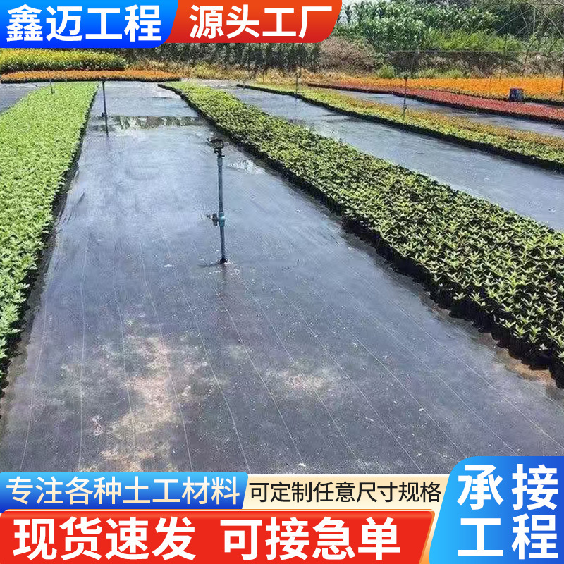 Anti-Grass Cloth Pe Thickened Water-Permeable Breathable Black Weed Control Fabric for Orchards, Agricultural Use, Greenhouses, Vegetable Fields, and Orchards, Anti-Aging Weed Control Cloth Anti-Grass Cloth Pe Thickened Water-Permeable Breathable Black Weed Control Fabric for Orchards, Agricultural Use, Greenhouses, Vegetable Fields, and Orchards, Anti-Aging Weed Control Cloth