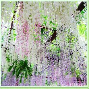 ���羳��؛���໨���ٷN�� �����辰 �·N�ӾG���е���ľ��ľ��N