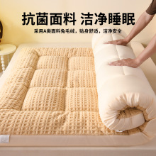 加厚牛奶绒床垫租房专用家用卧室加绒冬季保暖垫被褥子学生宿舍