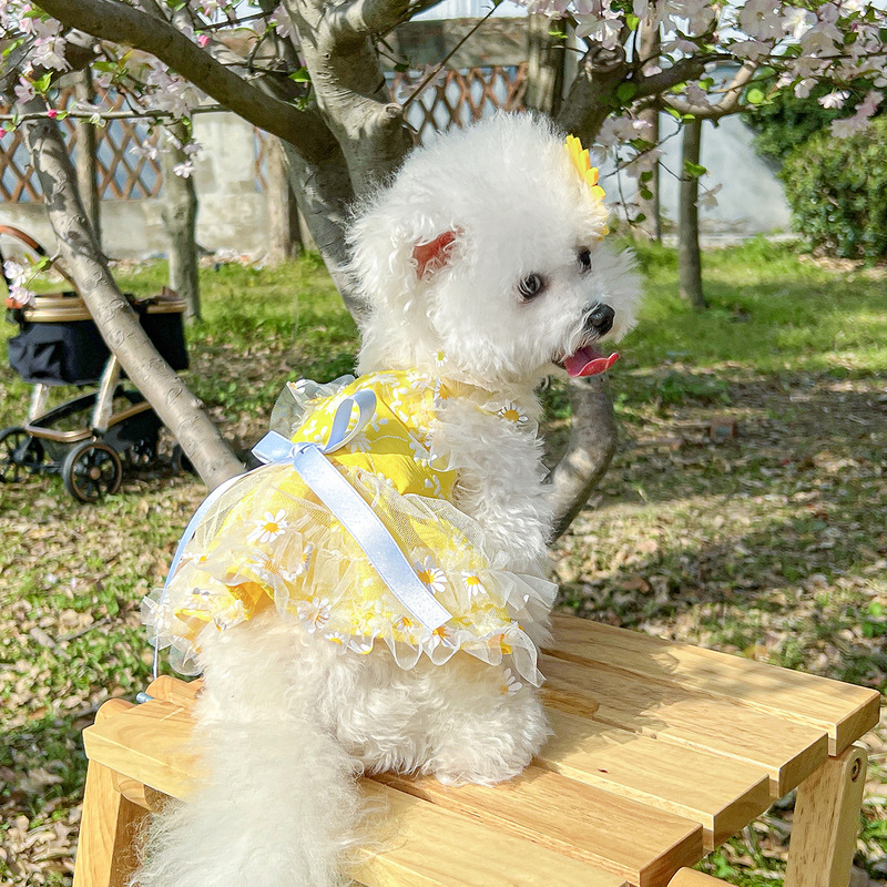 スポットクロスボーダー人気ペット子犬猫服ソース工場直販春夏デイジーフラワーサスペンダースカート|undefined