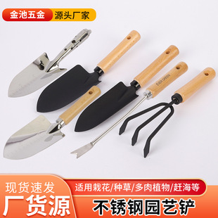 �@ˇС�P���B�������P���Լ��û��P���@ɳ���s��С�Pľ�������P��