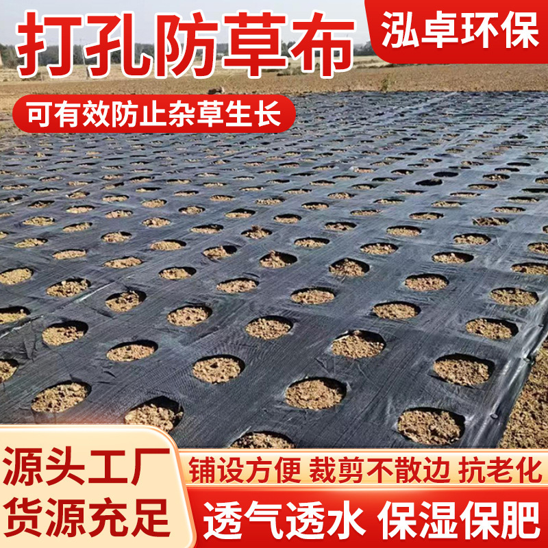 Perforated Weed Control Fabric for Fruit Trees, Orchards, Greenhouses, Water-Permeable and Breathable Gardening Weed Cover Cloth, Agricultural Perforated Weed Control Fabric