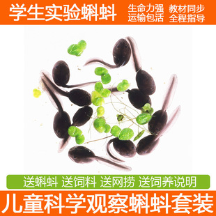 �����W��������w�W��С����������׃��@���С��򽌍�����