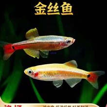 ���ƽ�˿�������˿��󷫽�˿�ݸ�С�͹�����ƿ��㵭ˮ����ˮ��