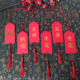 Lucky 6-word mix and match 30 red chinese knots + tassels