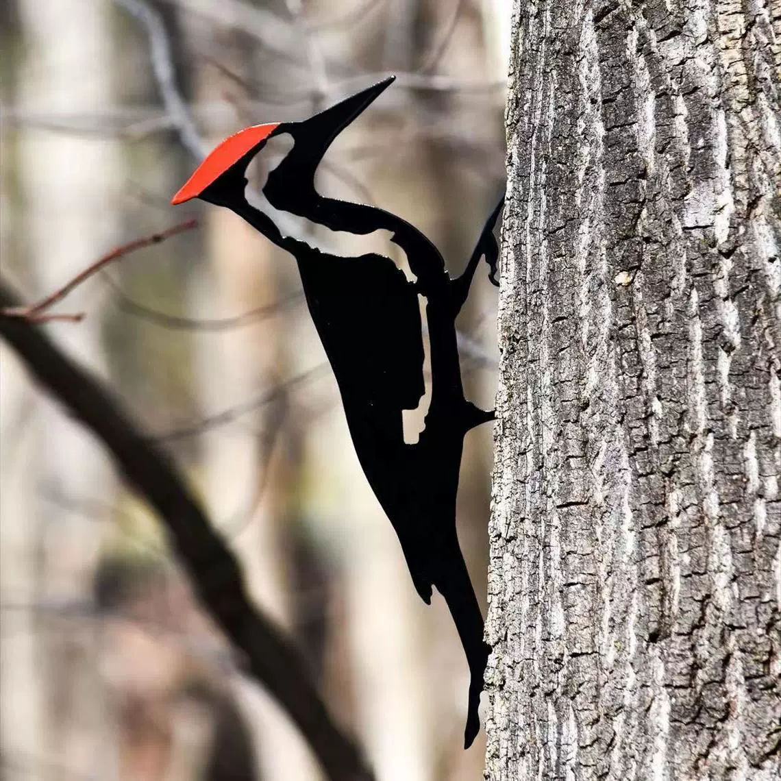 Ремесленные украшения Колибри Красная птица Внутренний и открытый двор Трансграничный новый металлический дятел Сад Вилла Украшения