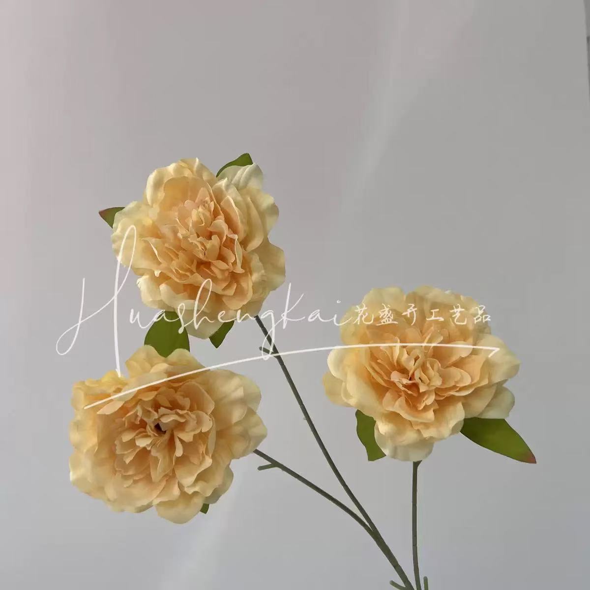 천주모란