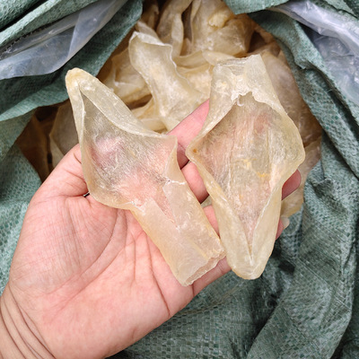 餐飲酒店食材原料花膠魚膠 火鍋打邊爐魚膠原蛋白35頭北海膠 淡水