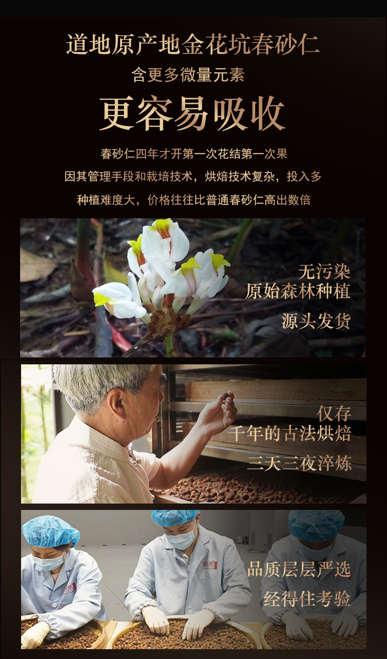 Chun Sha Ren Powder 20g Amomum villosum Granulated Chinese Herbal Powder from Yangchun Guangdong quality and texture