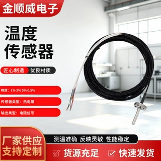 铂热电阻带孔探针热电偶感温测温半导体温度传感器探头批发