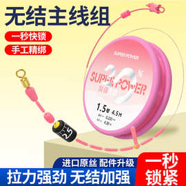 环盛进口线组主线成品主线组套装全套钓鱼正品高端台钓绑好鱼线