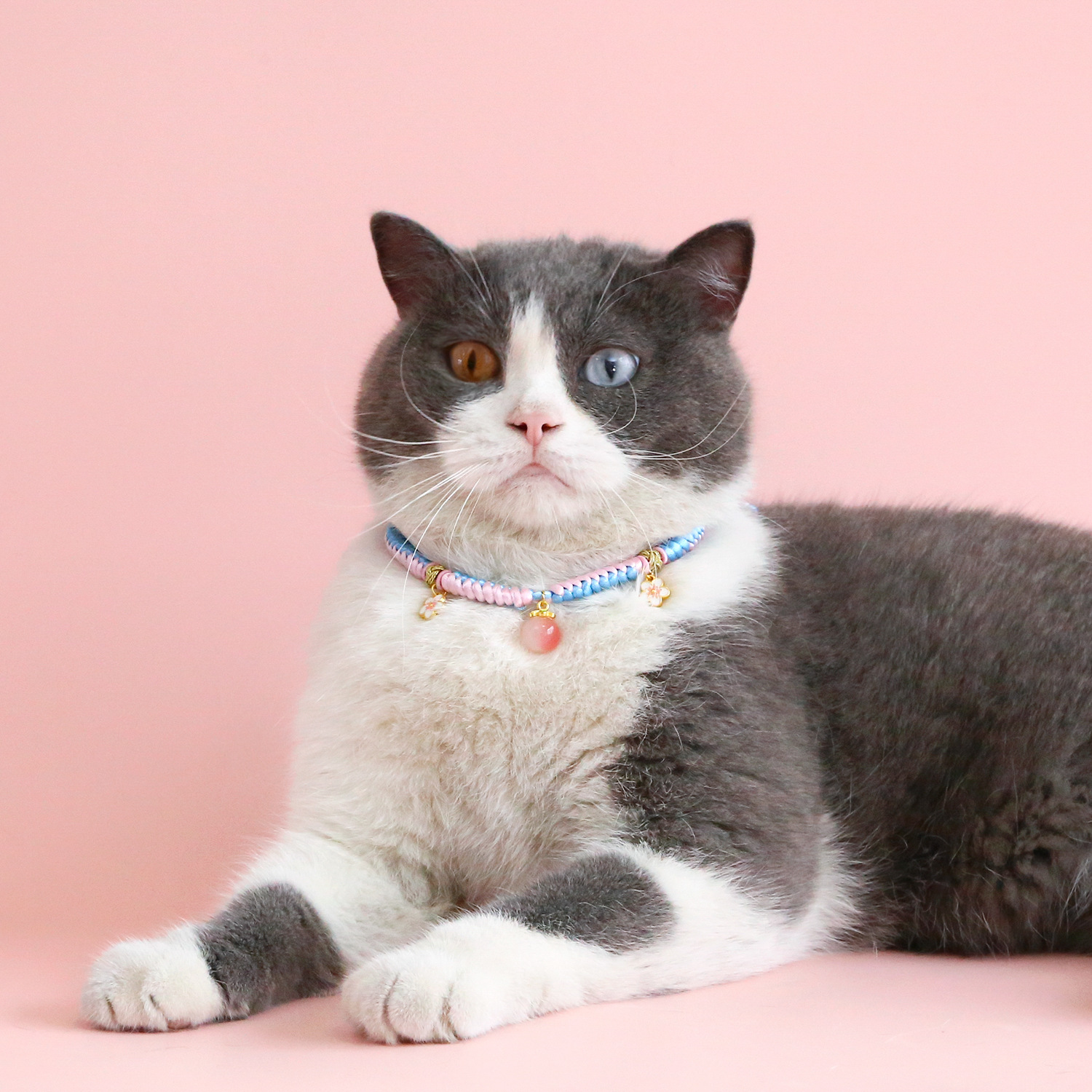 Mascotas atraen flores de melocotón feliz collar de ceja cuerda roja rosa azul tejido colgante de oro de arena gato perro collar de Año Nuevo