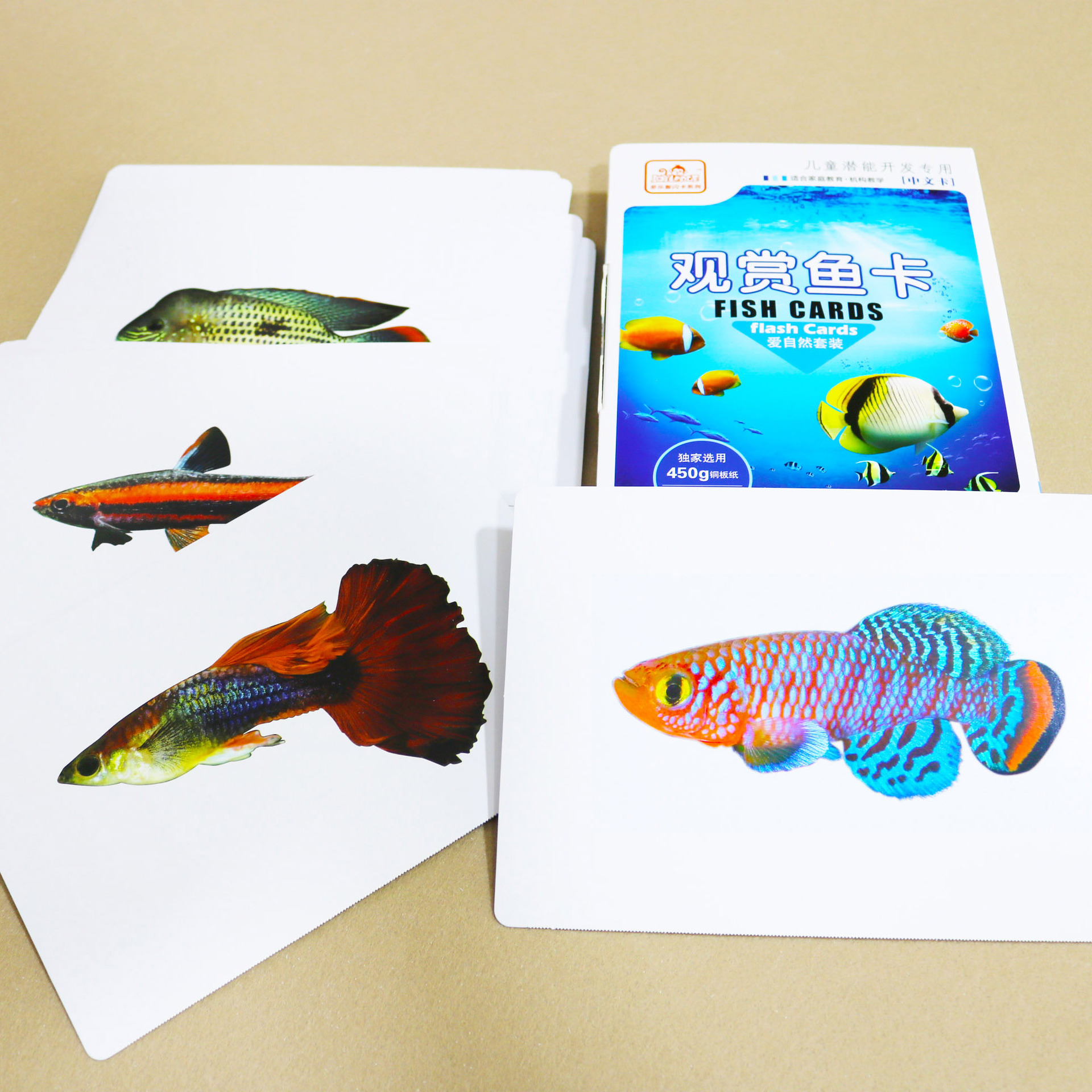 Ornamental Fish card (50 pieces)