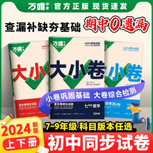 万唯中考2024新版大小卷 初中必刷题同步教材测试卷小四门人教版