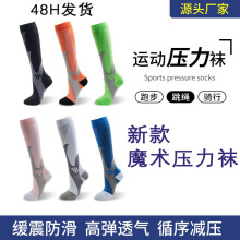 �羳�����m������С���m���܉��s�ﶬ�\��С���m�����m�LͲ�m��