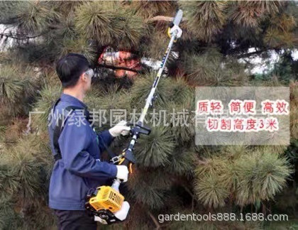 山东华盛泰山GJ330高枝绿篱机 大功率高枝修剪机宽带高枝锯高枝剪