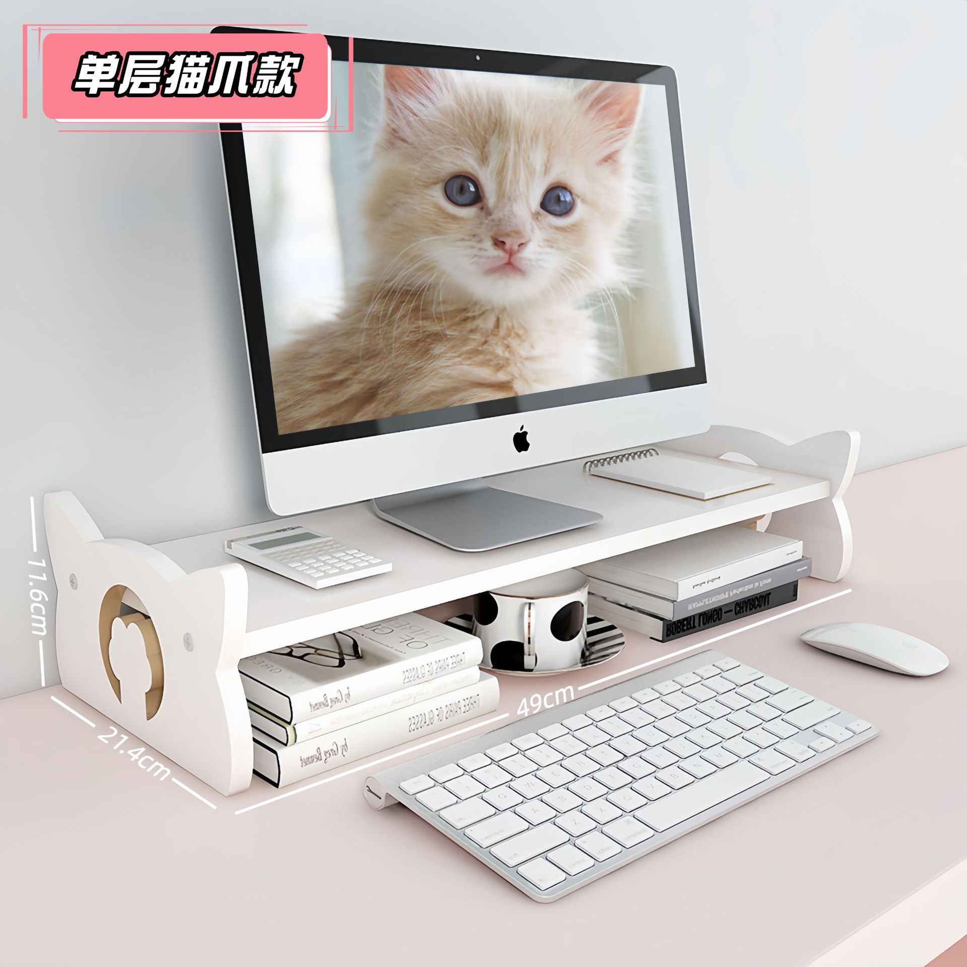 단층 고양이 발바닥 디자인