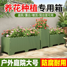 ����ľ�������ͥԺ�L���ηNֲ���ɫ��ľ����¶̨�����̨�N����