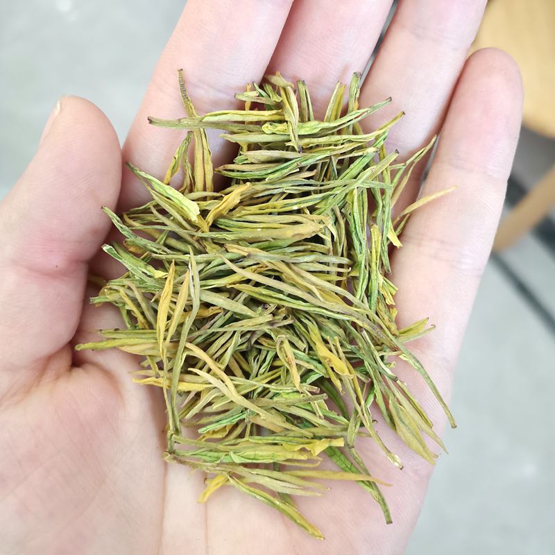 微信图片_20220813161302_副本800