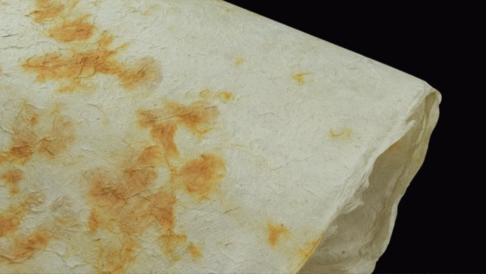 타이다이 옐로우 150*90cm