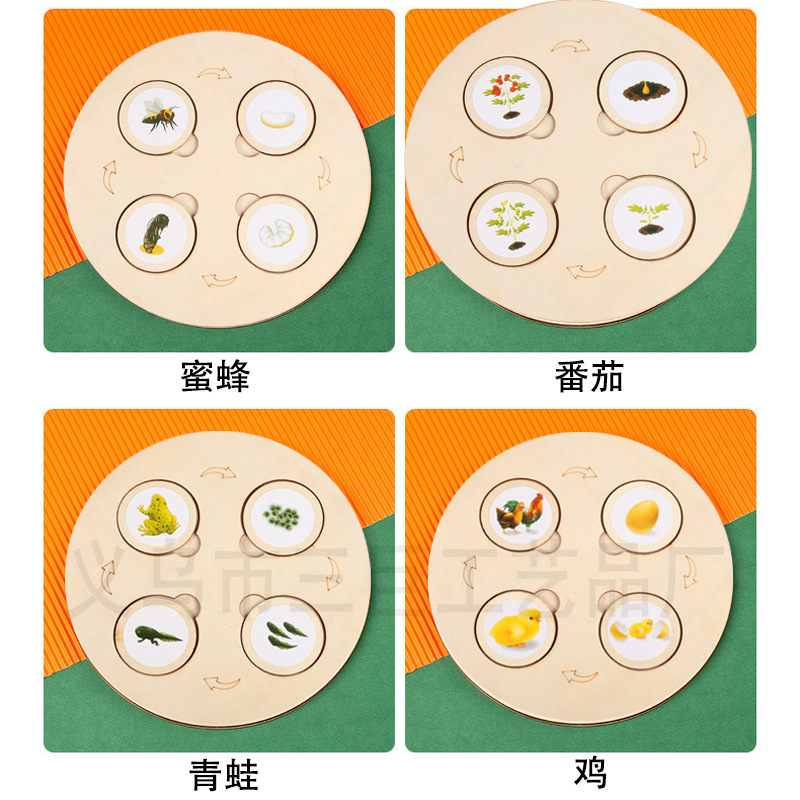 Bebé de madera animales y plantas ciclo crecimiento Montessori iluminación niños DIY educación temprana juguetes cognitivos