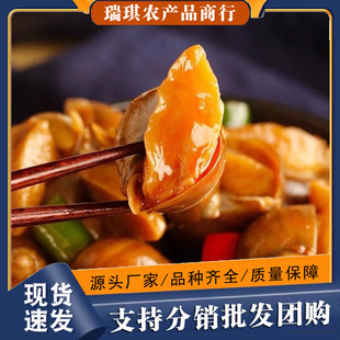 �����_�����U�������������U�~��С���r��ʳ�����b���ݾW�t؈����