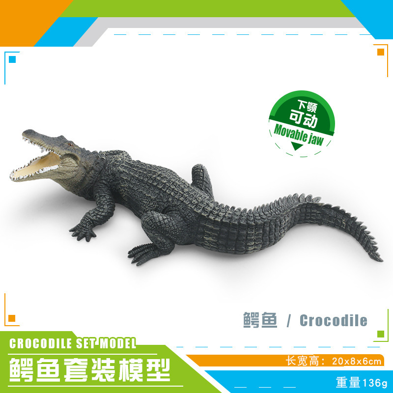 Transfronterizos infantiles simulación anfibio cocodrilo modelo cocodrilo imperador cocodrilo Yangtze mandíbula móvil estático juguete de decoración