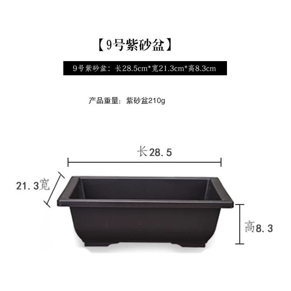[9号盆]