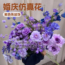 ��c���滨��ɫϵ��Y�ٻ����������픻���·���������l�\��ɫ