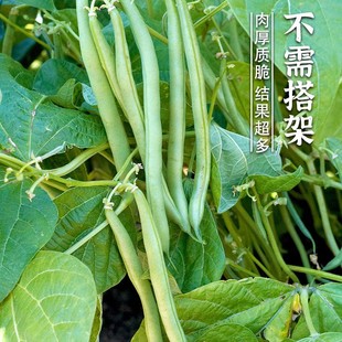 �ض��o�ܶ��ļ����N��ܿ�������N���߲��ݲ���ܟo����̨�˶�