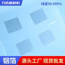  㟲99.995߼Ƭ25×28.5×0.1mm/ƬƬС S