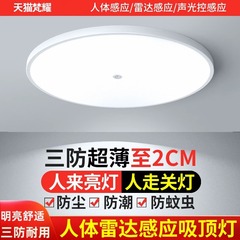 家庭用照明器具階段灯通路客間灯音響光制御レーダー人体誘導知能led三防天井灯
