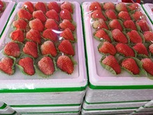 �нӲ���̲��ˮ�����ُ���ͽ������ˮ��һ���Ј�ֱ��