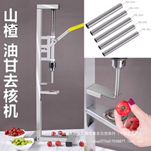 冰糖葫芦去子去核机去山里红去核山楂籽胡器红枣机器去山楂无