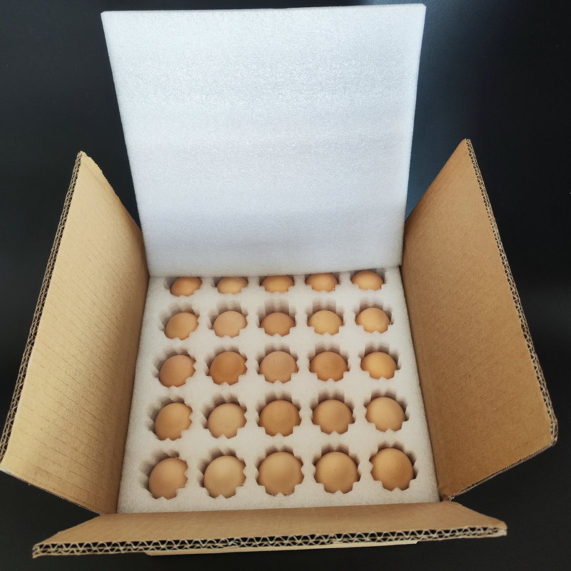 96297b5b807ed0543d9fa813b46e9f