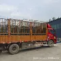 速冻双门不锈钢水饺架子车