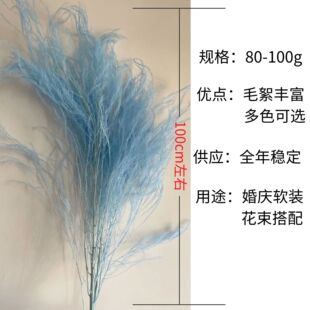 ?��횲���ë���Lë��ʯ�ݻ�c��Yܛ�b��ˇ������������Ϧ�����l