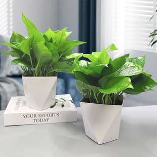 �G�}�����҃�ֲ�ﻨ�ܼ����·��k���҃�ˮ��͏d�G�j�Gֲ�G�}����