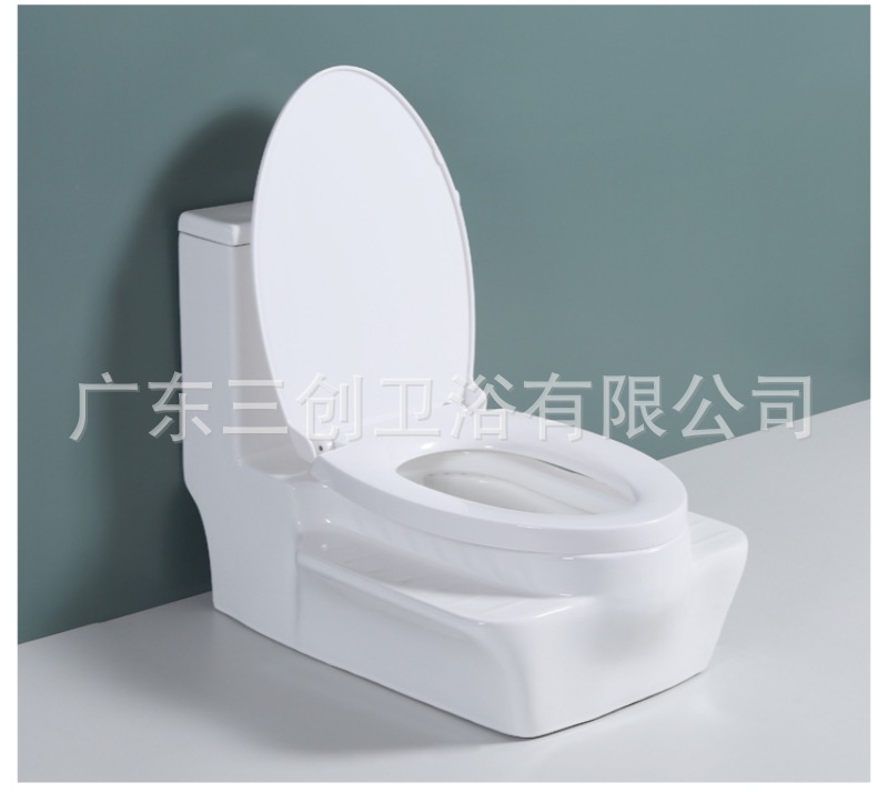蹲坐两用马桶9001S-详情页 (24).jpg