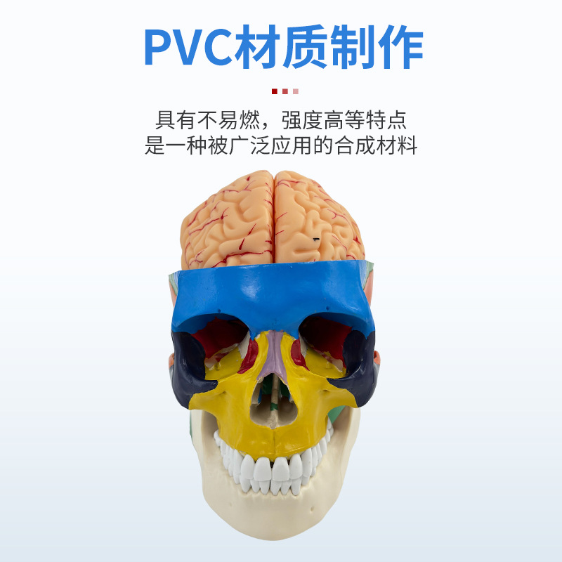 ��ɫͷ�Ǵ���׵����ģ������ͷ­�� ɫ�Է��� 1��1��ɫ��������