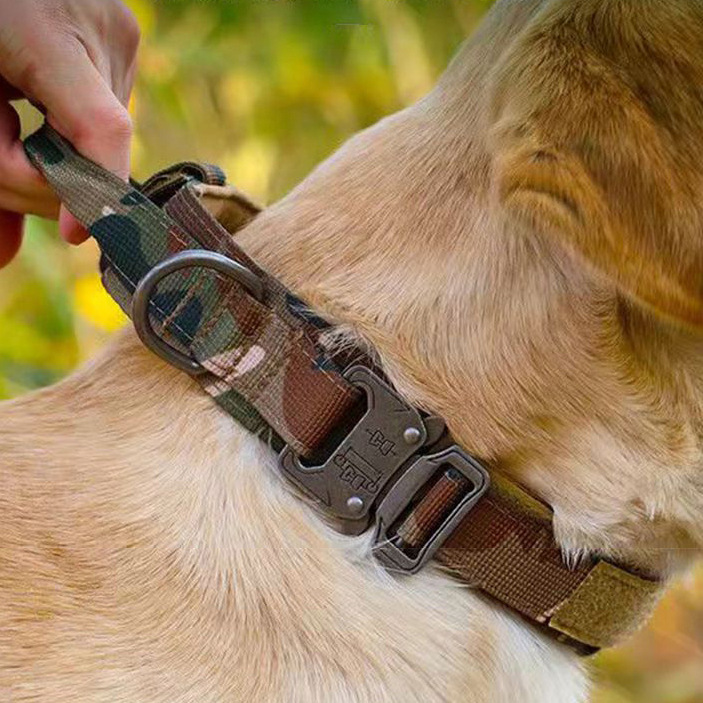 Tactical Dog Chain Color Option 1