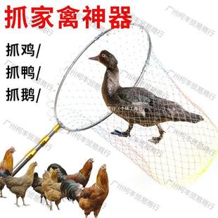 Telescopic pole lengthened goose catch chicken net catch duck catch local chicken outdoor artifact catch pigeon net tool catch chicken thickened