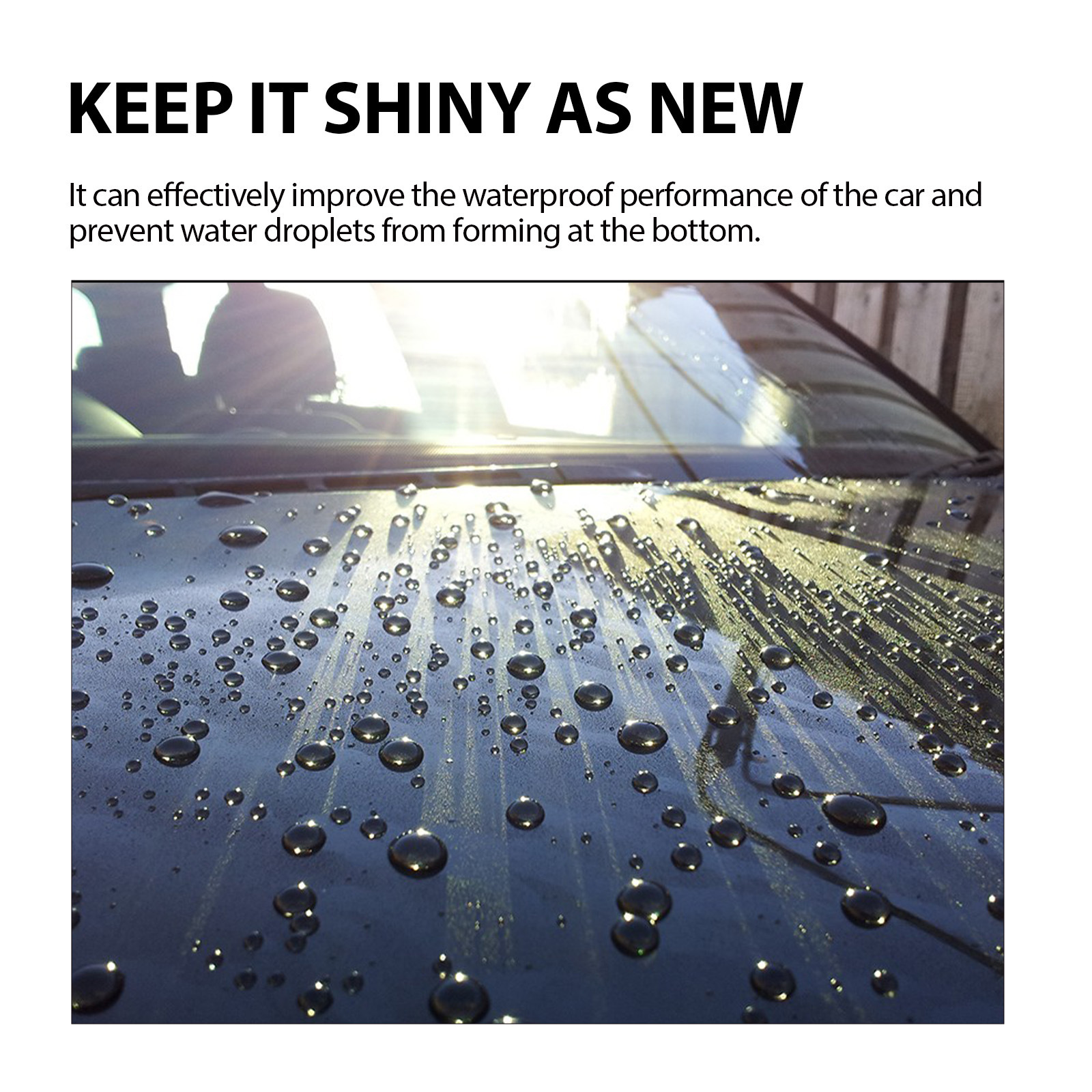 Homonth Car Coating Results