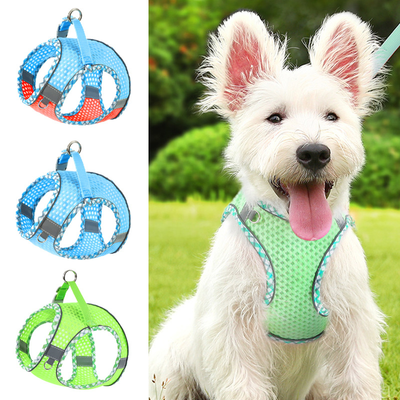 Correa para mascotas transfronteriza correa para el pecho del perro gato Chaleco de perro cuerda para caminar perro cuerda perros medianos y pequeños