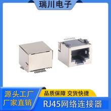 WR44095 RJ45��������������ֱ�� ����������