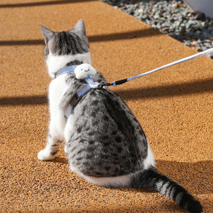 Cat Traction Rope Anti-break Out Special Cat Rope Pet Strap Chain Adjustable Internet Celebrity Cat Walking Rope