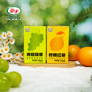 Hand in Hand Tea Drink Lemon Black Tea Green Tea 250ml*6/10/24 Boxes